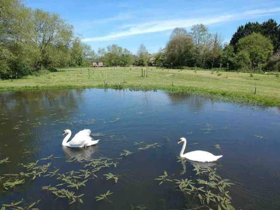 Riverside Retreat Leilighet Taunton Eksteriør bilde